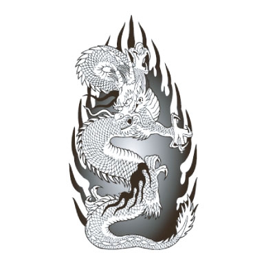 �^�g�D�[�V�[���@�Ή��h���S��